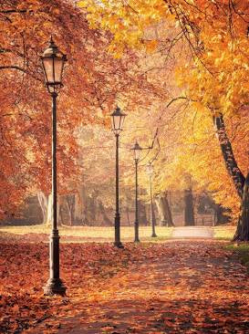 Autumn Fashion